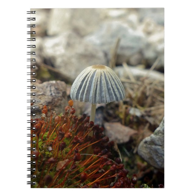 Caderno Espiral Toadstool pequenina (Frente)