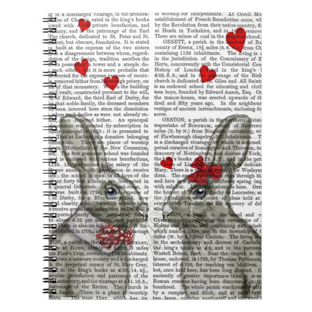 Caderno Espiral Todos (Frente)