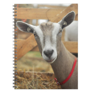 Caderno Espiral Toggenburg Dairy Goat Doe