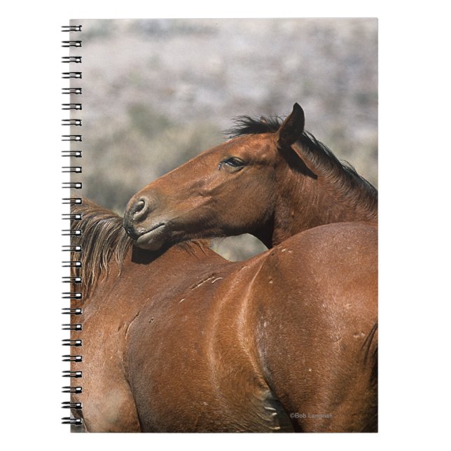 Caderno Espiral Toque selvagem dos cavalos do mustang (Frente)