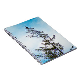 Caderno Espiral Torre de monitoração
