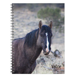 Caderno Espiral Tote dos Garanhões de S Steens