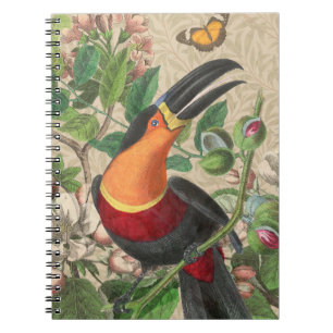 Caderno Espiral Toucan Jungle Tropical Bird Beauful Antiguidade