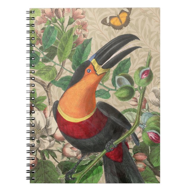 Caderno Espiral Toucan Jungle Tropical Bird Beauful Antiguidade (Frente)