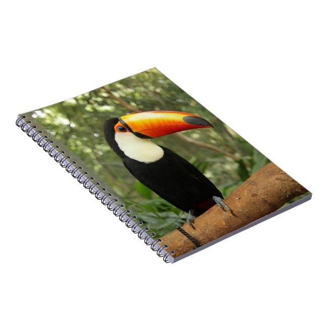 Caderno Espiral Toucan na ramificação da árvore (Lado Direito)