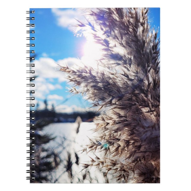 Caderno Espiral Tout simplement beau 1 (Frente)