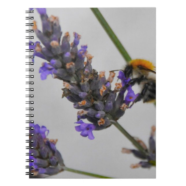 Caderno Espiral Trabalhadores Maravilhosos da Natureza (Frente)