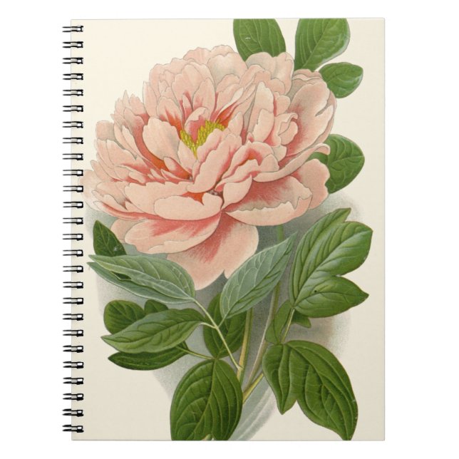 Caderno Espiral Tree Peony - Elegante Vintage Botanical Design (Frente)