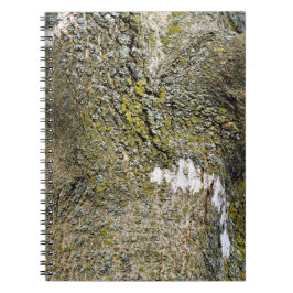 Caderno Espiral Tree Truck e Moss Textura