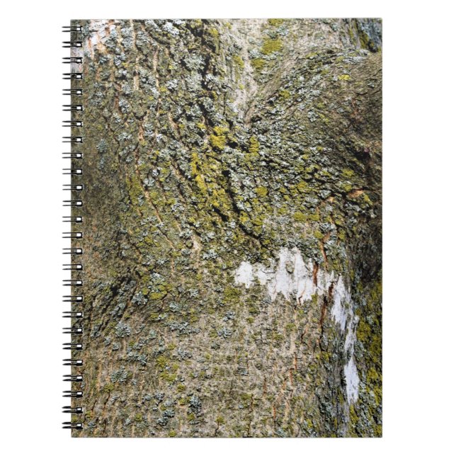 Caderno Espiral Tree Truck e Moss Textura (Frente)