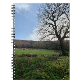 Caderno Espiral Tree view..