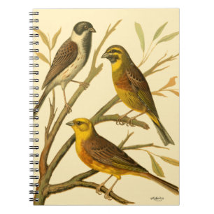 Caderno Espiral Três Aves Domésticas Perecidas num Ramo