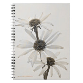 Caderno Espiral Três Flores Brancas de Cone