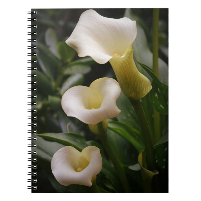 Caderno Espiral Três Flores Calla Lily do Jardim de Gertie (Frente)