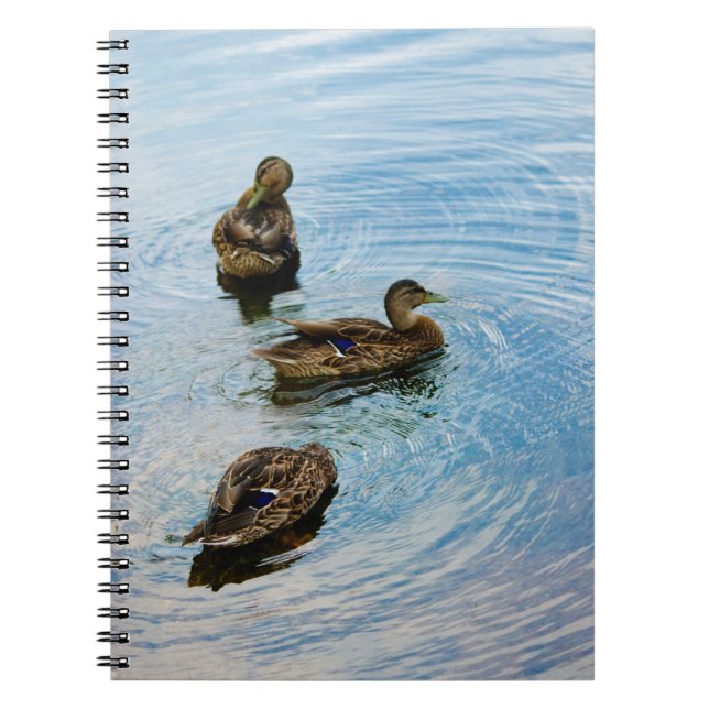 Caderno Espiral Três notebooks (Frente)
