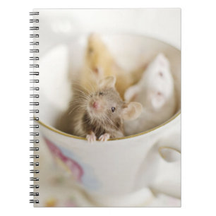 Caderno Espiral Três ratos pequenos