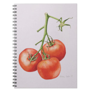 Caderno Espiral Três tomates na videira 1997