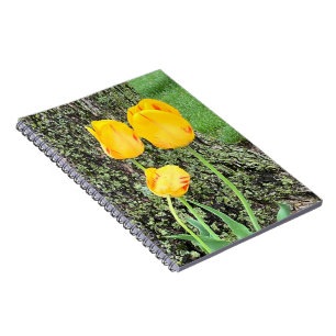 Caderno Espiral Três Tulipas Amarelas / Espiral