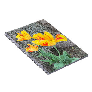 Caderno Espiral Três Tulipas Amarelas Sequel / Espiral
