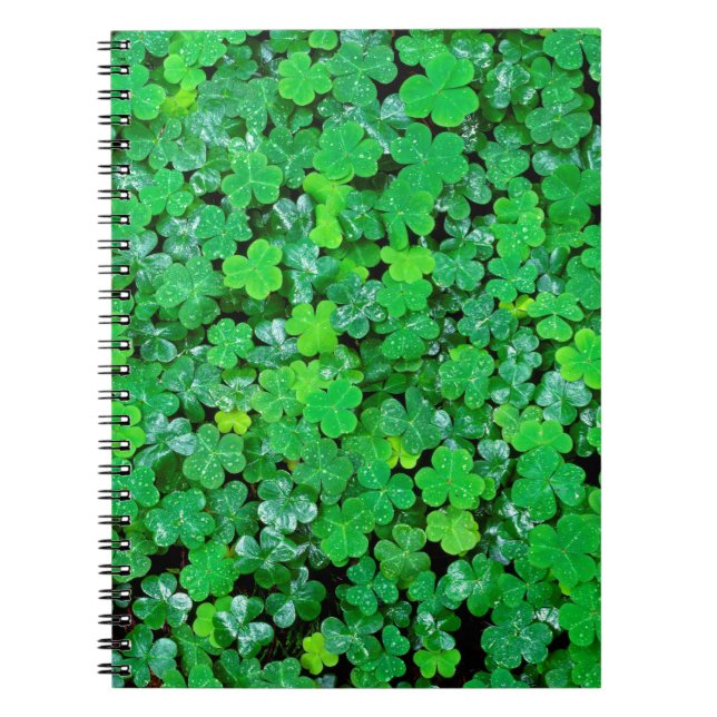 Caderno Espiral Trevo Azedo na Primavera (Frente)