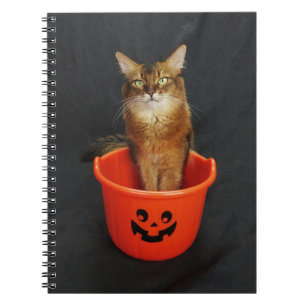 Caderno Espiral Trick ou Treat Somali Cat