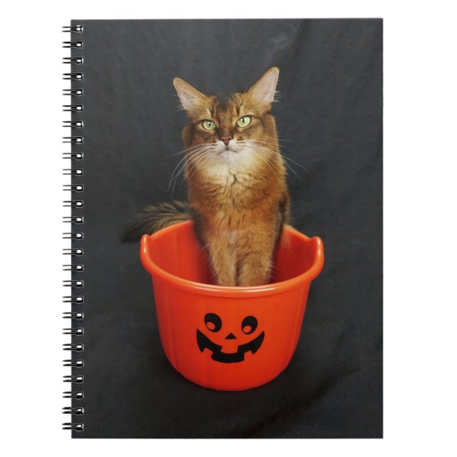 Caderno Espiral Trick ou Treat Somali Cat (Frente)
