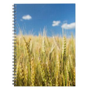 Caderno Espiral Trigo de Kansas
