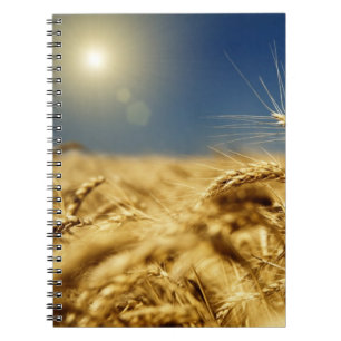 Caderno Espiral Trigo Dourado e céu azul com sol