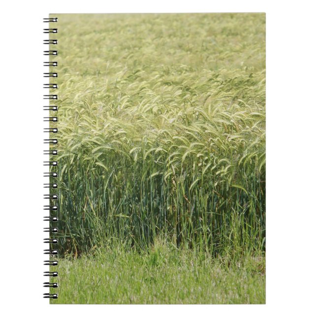 Caderno Espiral Trigo - Saboroso! (Frente)