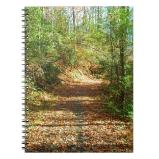 Caderno Espiral Trilha da Floresta do outono Sunlit