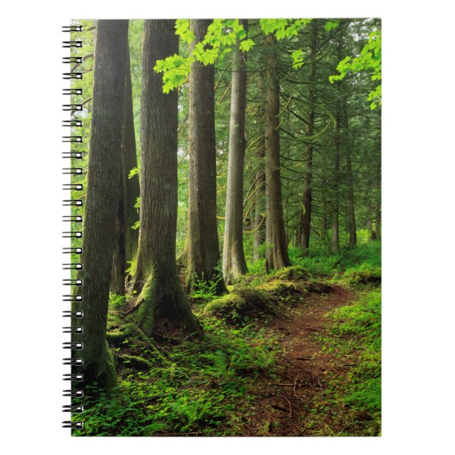 Caderno Espiral Trilha da Floresta Verde Cênica (Frente)