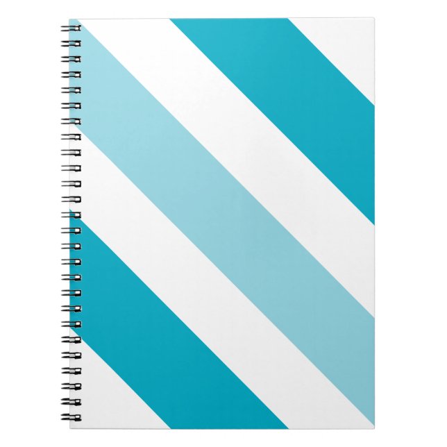 Caderno Espiral Trilha de dois tons (Frente)