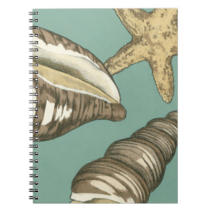 Caderno Espiral Trio de Shell Pequeno no Teal