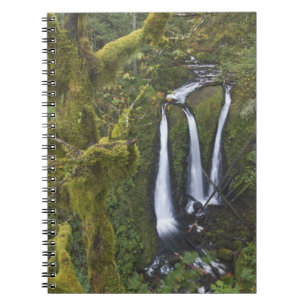 Caderno Espiral Triple Falls, Desfiladeiro do Rio Columbia