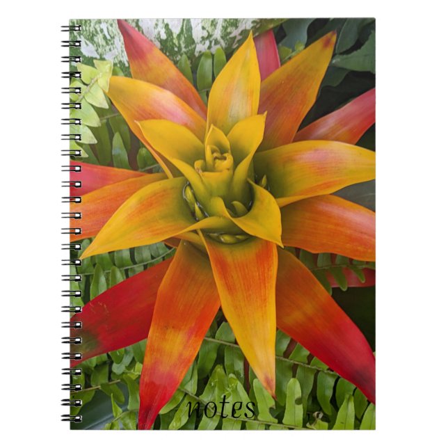 Caderno Espiral Tropical Guzmania Plant Floral (Frente)