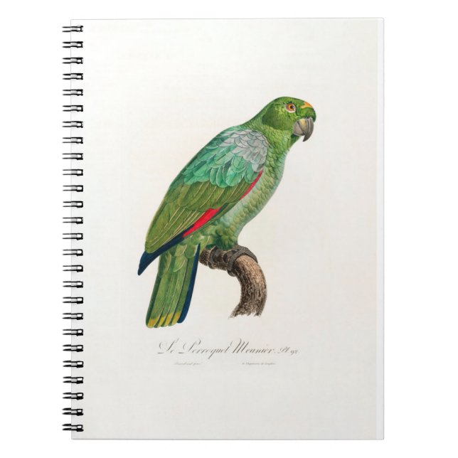 Caderno Espiral tropical macaw parrot (Frente)