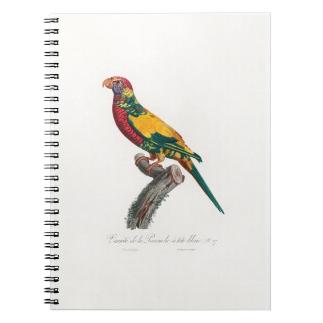 Caderno Espiral tropical macaw parrot (Frente)