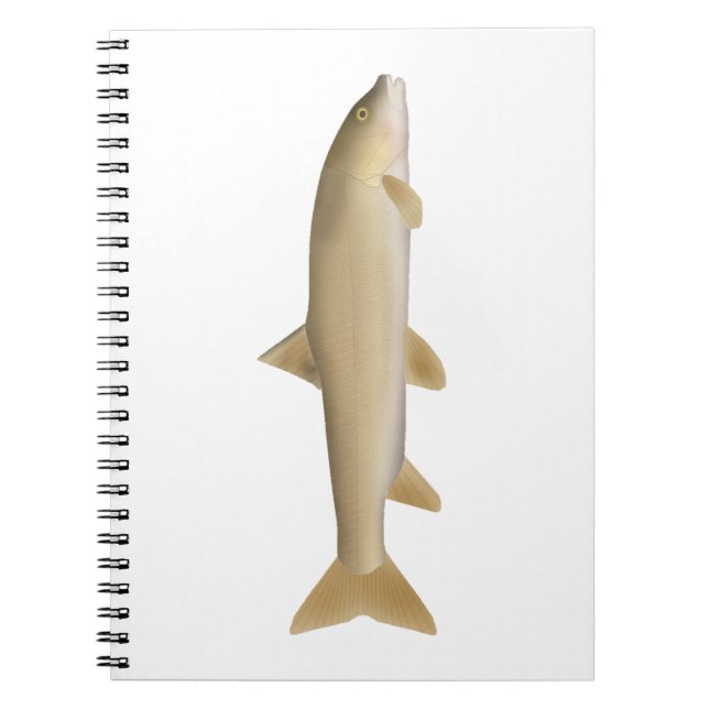 Caderno Espiral Truta da Neve Comum (Frente)