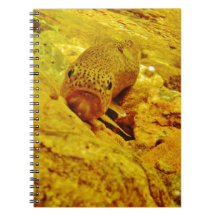 Caderno Espiral Truta em fluxo