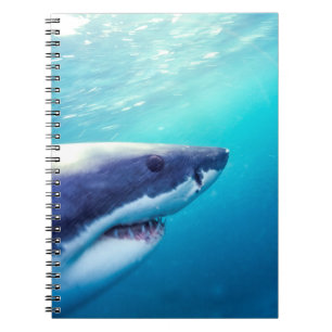 Caderno Espiral Tubarão Branco   África do Sul