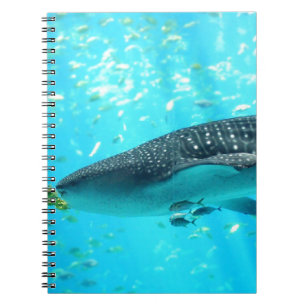 Caderno Espiral Tubarão de baleia azul legal do na moda chique da