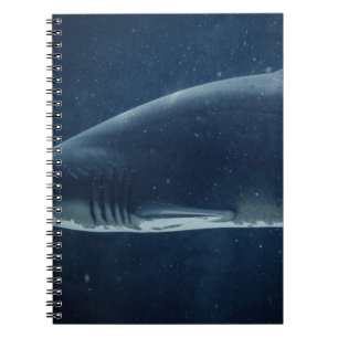 CADERNO ESPIRAL TUBARÃO PRETO E BRANCO SUBÁGUA