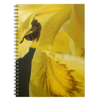 Caderno Espiral Tudo é amarelo