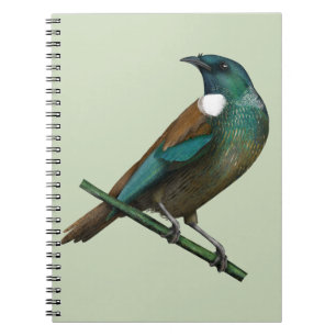 Caderno Espiral Tui New Zealands Bird