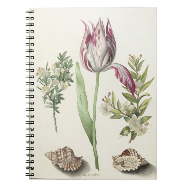 Caderno Espiral Tulip, duas ramificações do Cartão-postal Myrtle (Frente)