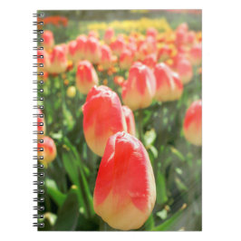 Caderno Espiral Tulip Heaven