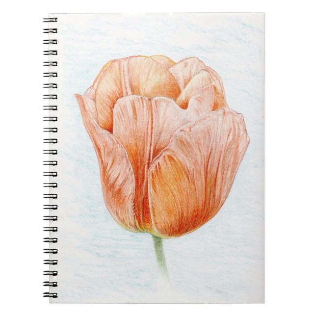 Caderno Espiral Tulip in Peach (Frente)