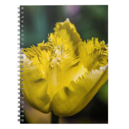 Caderno Espiral Tulipa Amarela