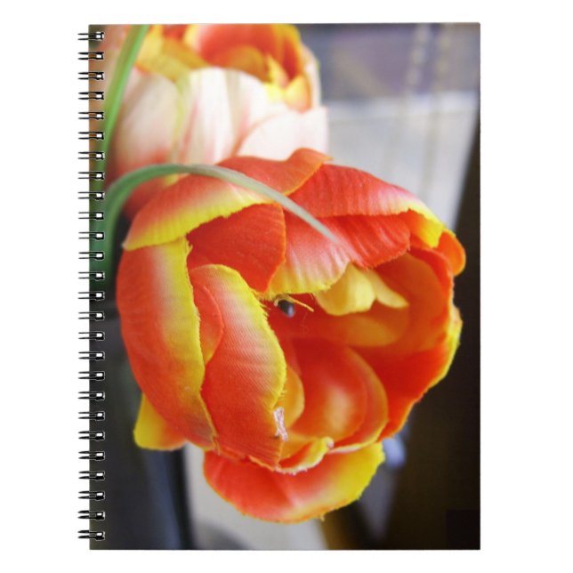 Caderno Espiral Tulipa da Seda (Frente)