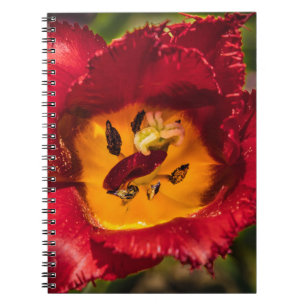 Caderno Espiral tulipa vermelha